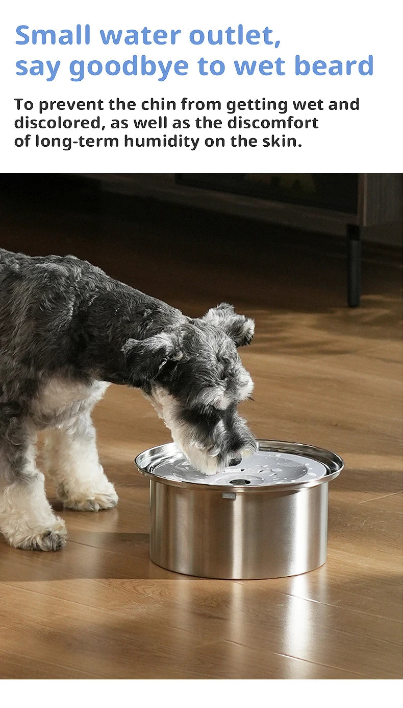 4L large-capacity pet suspended water bowl stainless steel dog food bowl spill-proof drip-free cat water dispenser