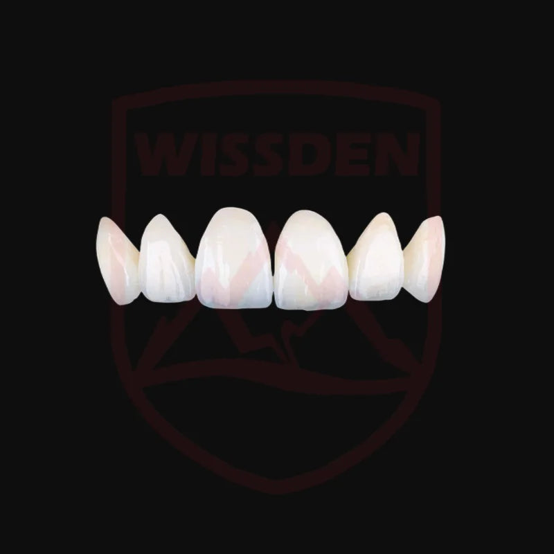 Wissden Dental Zirconia Blocks Multilayer Gradient STML Dental-lab Consumable 98,12-30mm CAD/CAM Cost-effective