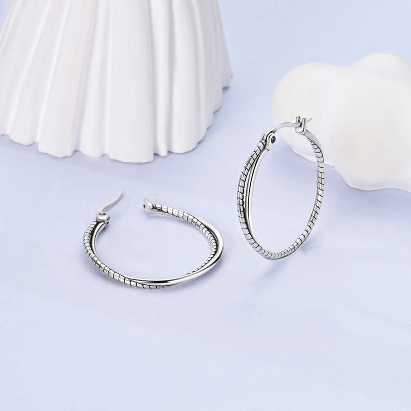 925 Sterling Silver Classic Round Hoop Earrings Zirconia U Shape Love Heart Geometric Earrings For Women Luxury Jewelry Gift