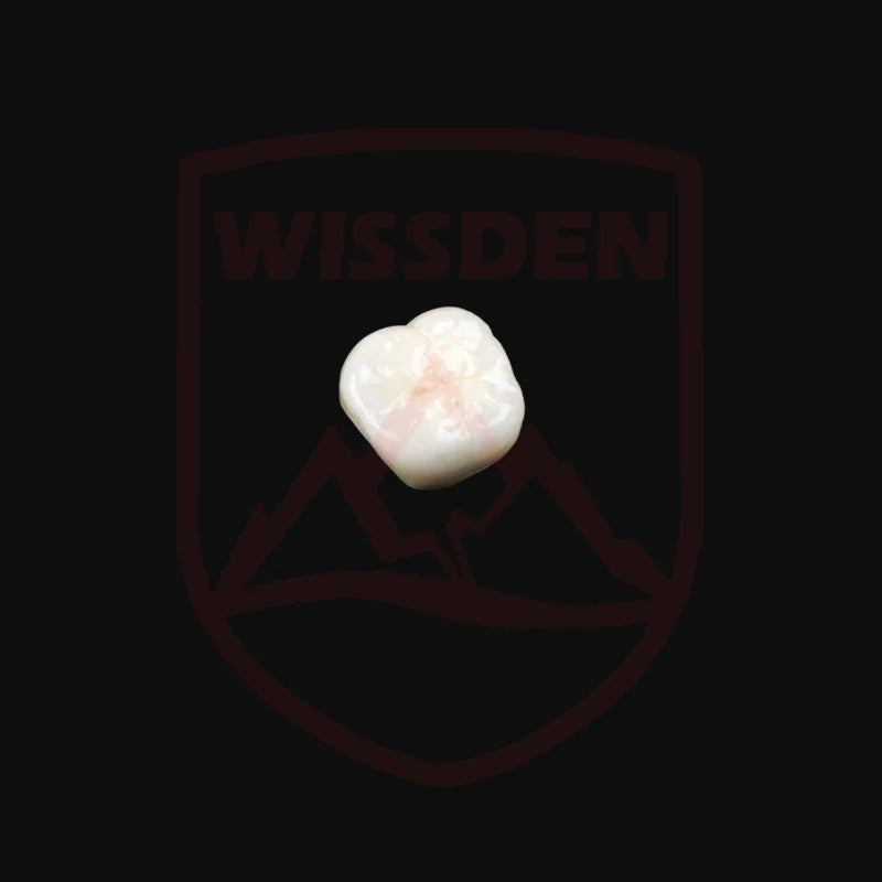 Wissden Dental Zirconia Blocks Multilayer Gradient STML Dental-lab Consumable 98,12-30mm CAD/CAM Cost-effective